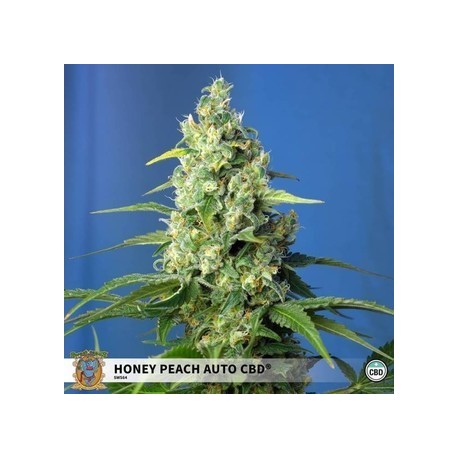 honey peach cbd