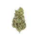 Amnesia Haze