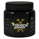 B.A.C. - FROOTING POWER - 325GR