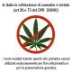 Black Jack Auto®