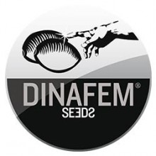 DINAFEM