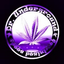 DR. UNDERGROUND